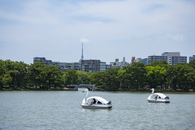 大濠公園の池の画像。スワンボートが２艘浮かんでいる
