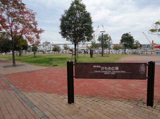 かもめ広場の画像